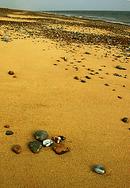 SHORE
